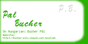 pal bucher business card