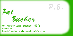 pal bucher business card